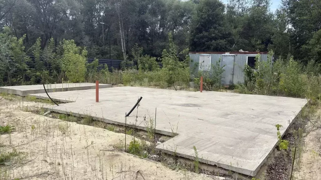 Участок в Воронежская область, Рамонский район, Березовское с/пос, д. ... - Фото 2