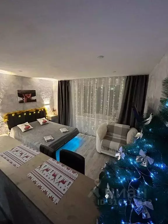 Студия Ленинградская область, Выборг ул. Сторожевой Башни, 9 (24.0 м) - Фото 1