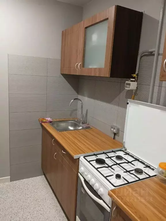 2-к кв. Нижегородская область, Нижний Новгород Мещерское Озеро ... - Фото 2