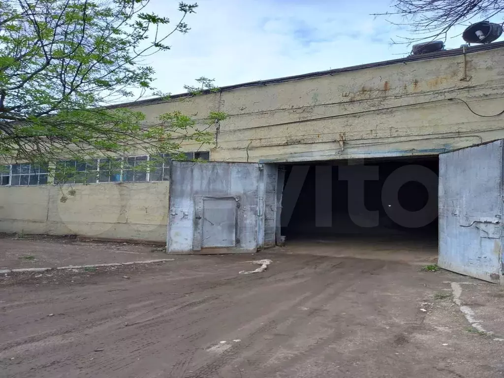 Сдам помещение свободного назначения, 200 м - Фото 0
