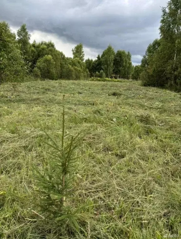 Участок в Московская область, Рузский муниципальный округ, пос. ... - Фото 1