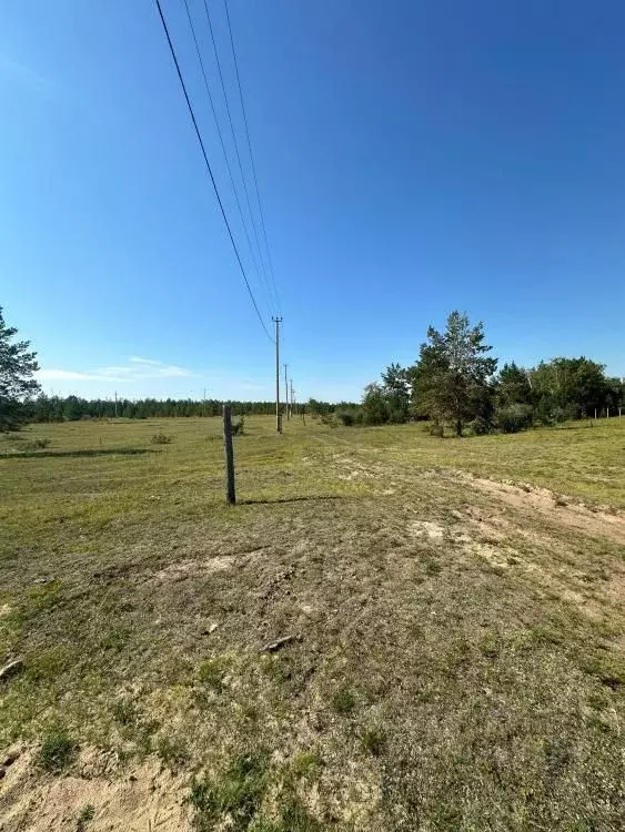 Участок в Саха (Якутия), Якутск городской округ, с. Тулагино  (10.0 ... - Фото 0