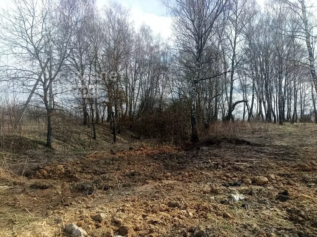 Участок в Московская область, муниципальный округ Чехов, деревня ... - Фото 0
