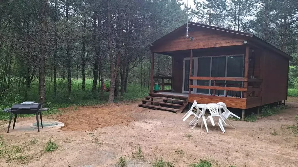 Дом в Псковская область, Псковский район, Писковичская волость, д. ... - Фото 1