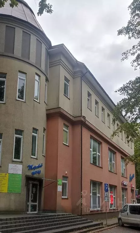Торговая площадь в Калининградская область, Светлогорск ул. Гагарина, ... - Фото 1