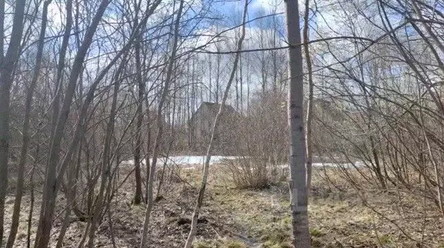 Участок в Московская область, Щелково городской округ, д. Мишнево  ... - Фото 1