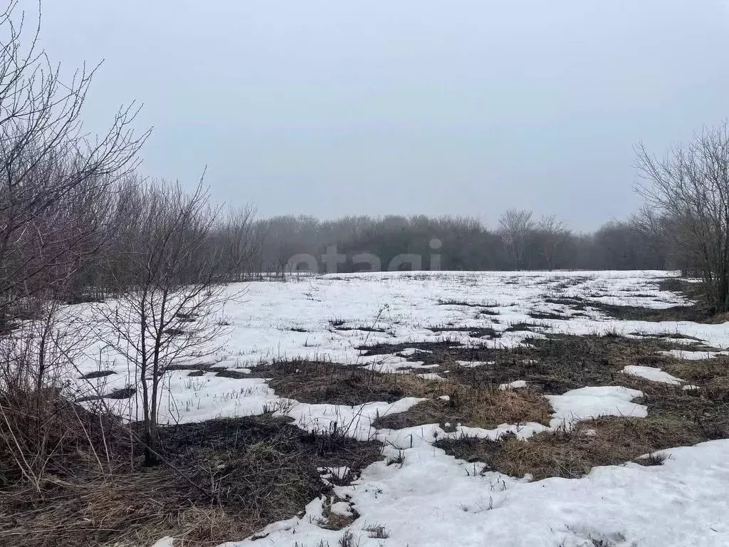 Участок в Белгородская область, Губкинский городской округ, Дубравка ... - Фото 1