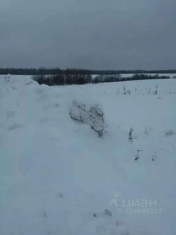 Участок в Московская область, Сергиево-Посадский городской округ, с. ... - Фото 2