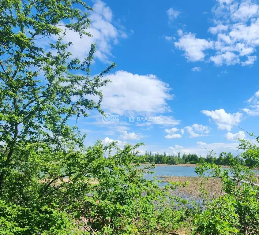 Дом в Воронежская область, Семилукский район, Стрелицкое городское ... - Фото 0