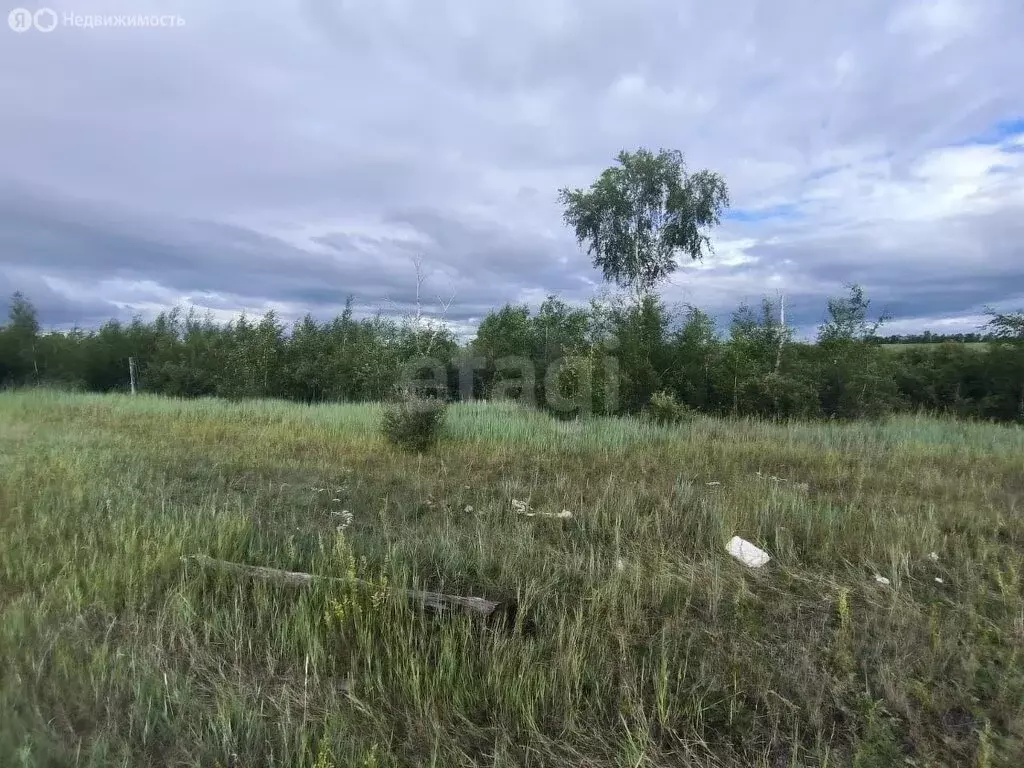 Участок в Якутск, территория Баал Заимката (10.97 м) - Фото 1