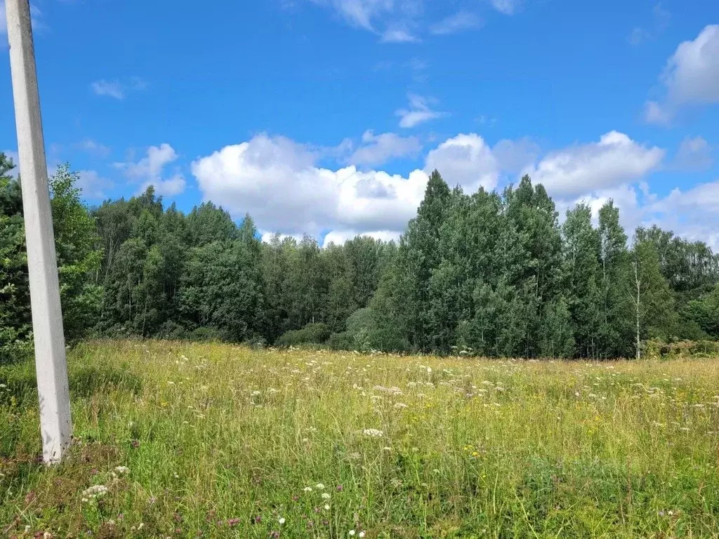 Участок в Псковская область, Печорский муниципальный округ, д. ... - Фото 0