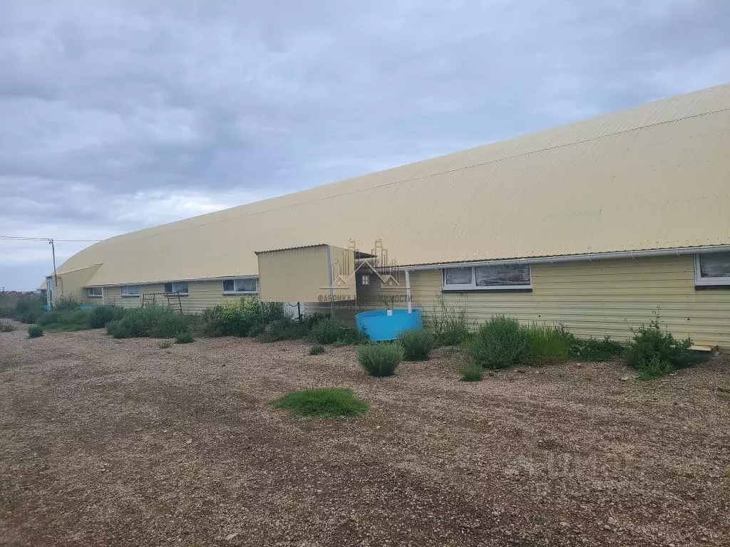 Производственное помещение в Крым, Черноморский район, с. Новосельское ... - Фото 1