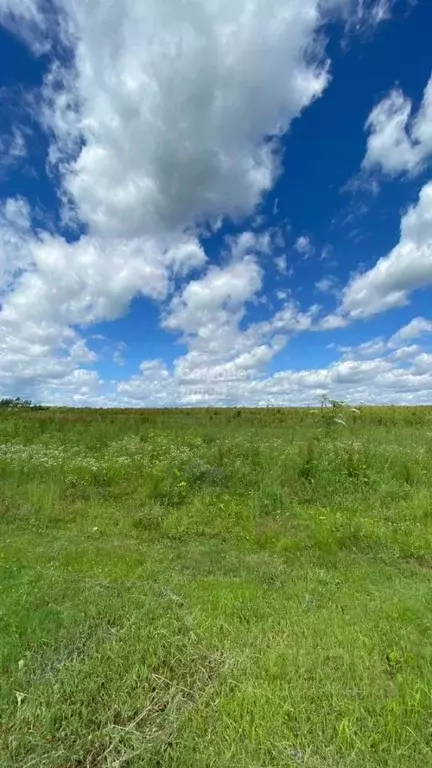 Участок в Москва № 51 кв-л,  (10.0 сот.) - Фото 2