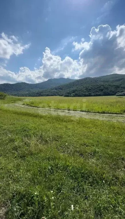 Участок в Адыгея, Майкопский район, Даховская ст-ца  (249.97 сот.) - Фото 1