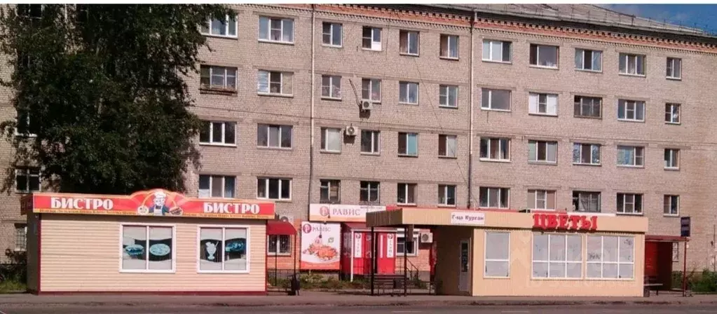 Студия Курганская область, Курган просп. Конституции, 69 (13.4 м) - Фото 1