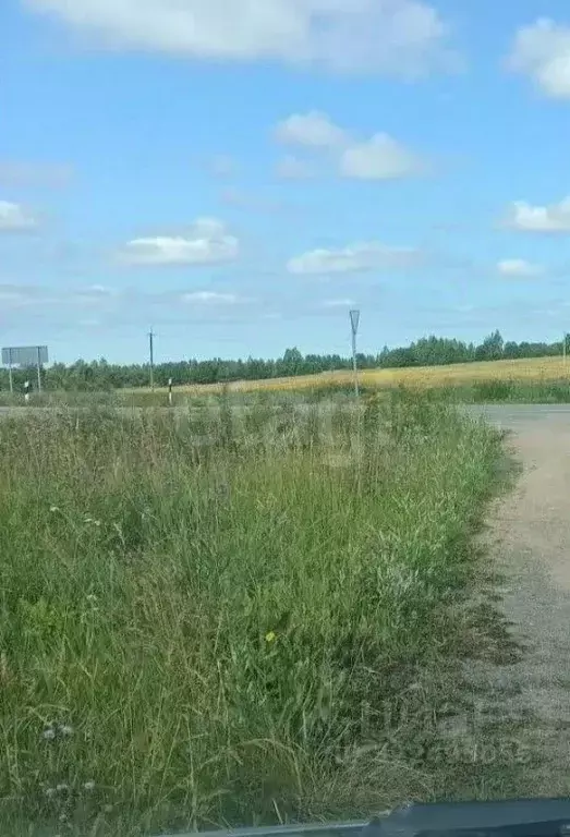 Участок в Вологодская область, д. Ирхино  (15.0 сот.) - Фото 1