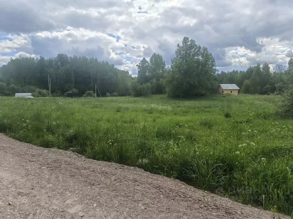 Участок в Ленинградская область, Приозерский район, Мельниковское ... - Фото 2