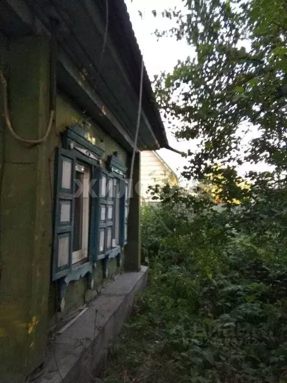 Дом в Новосибирская область, Искитим Линейная ул. (42 м) - Фото 2