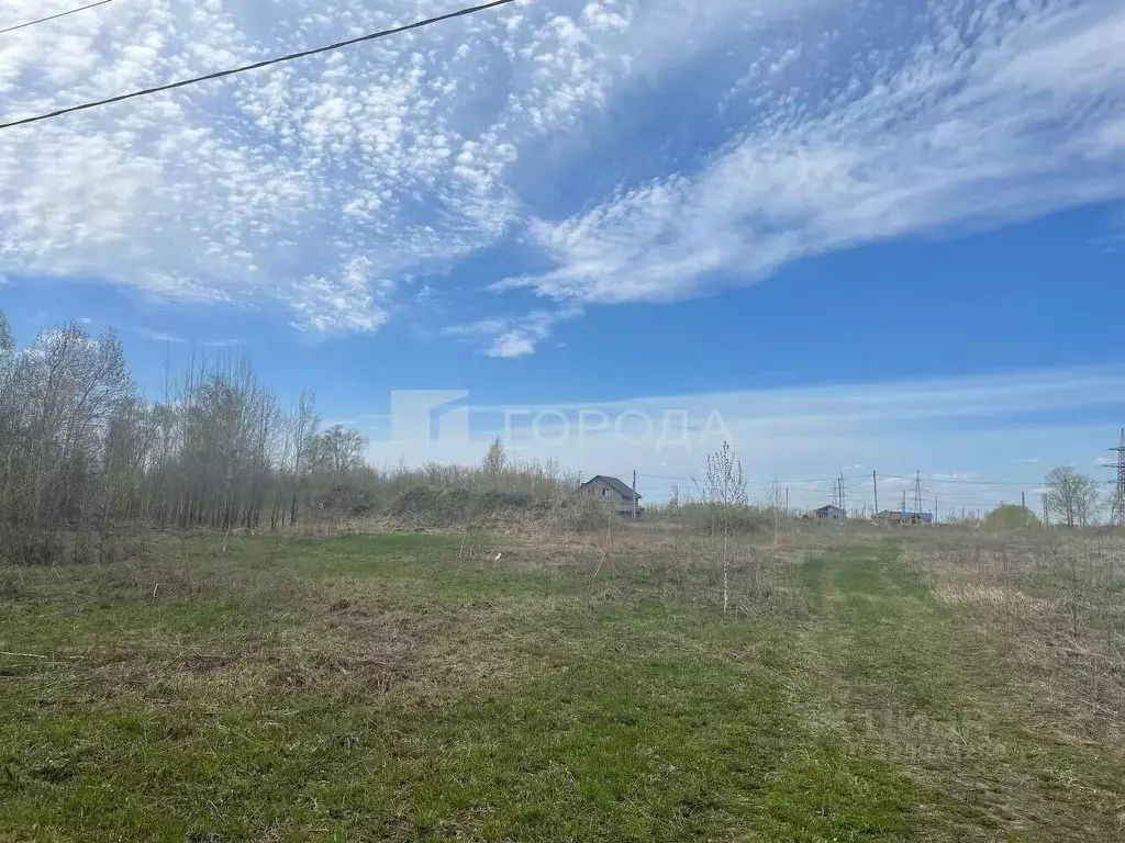 Участок в Алтайский край, Первомайский район, пос. Новый ул. 1-я ... - Фото 2