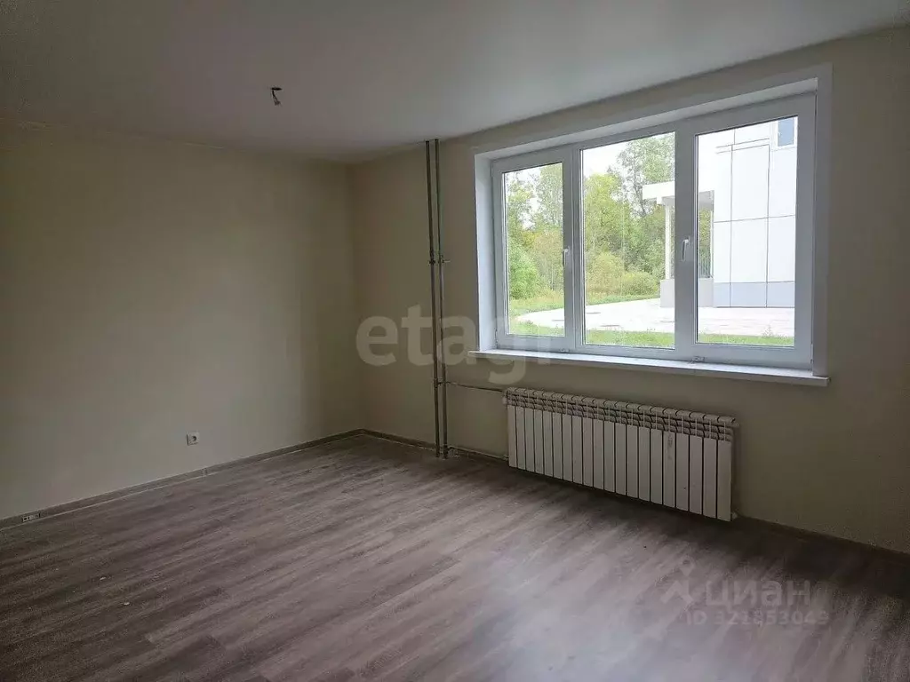 Студия Псковская область, Остров ул. Калинина, 82А (25.9 м) - Фото 2