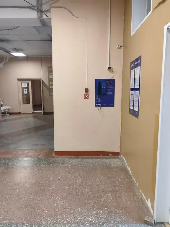 Помещение свободного назначения в Омская область, Омск ул. Сулеймана ... - Фото 2