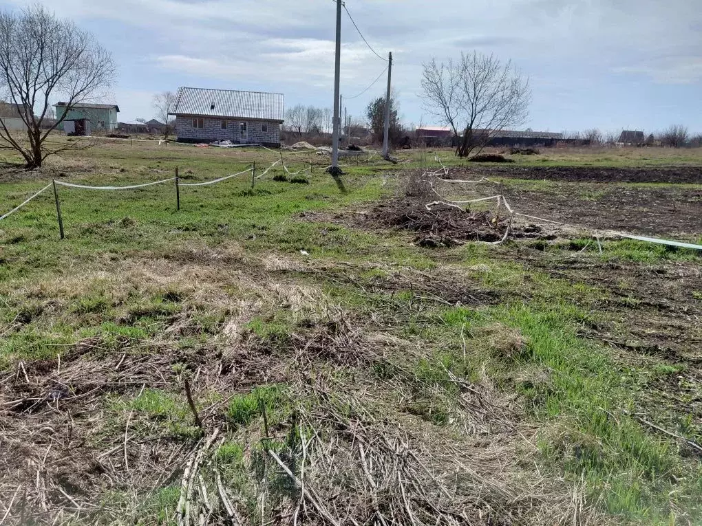 Участок в Воронежская область, с. Новая Усмань ул. Заречная (10.0 ... - Фото 2