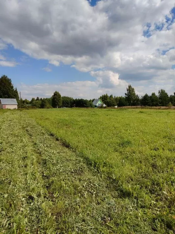 Участок в Вологодская область, Череповецкий район, д. Нагавицыно  ... - Фото 2