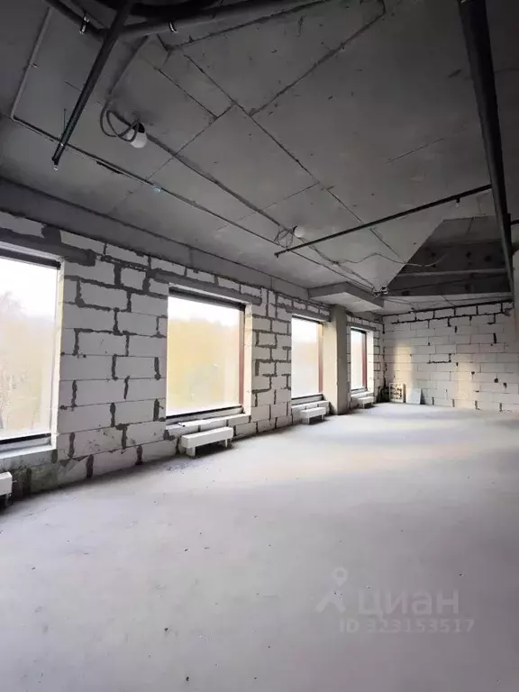 Офис в Нижегородская область, Нижний Новгород ул. Тимирязева, 9к2 (114 ... - Фото 1