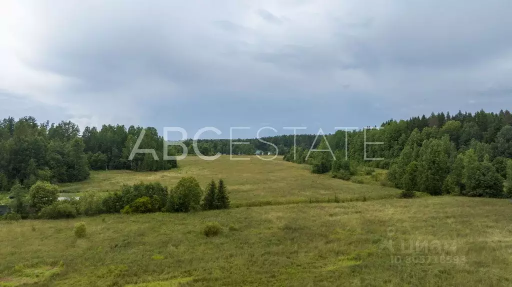 участок в ленинградская область, выборгский район, гончаровское с/пос . - Фото 1