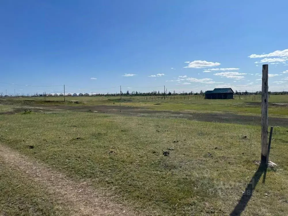 Участок в Саха (Якутия), Якутск городской округ, с. Тулагино  (12.0 ... - Фото 1