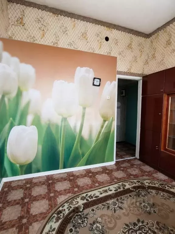 1-к кв. Пермский край, Ильинский муниципальный округ, с. Сретенское ... - Фото 1