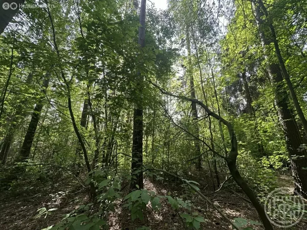 Участок в Всеволожск, улица Гоголя, 57 (20.2 м) - Фото 2