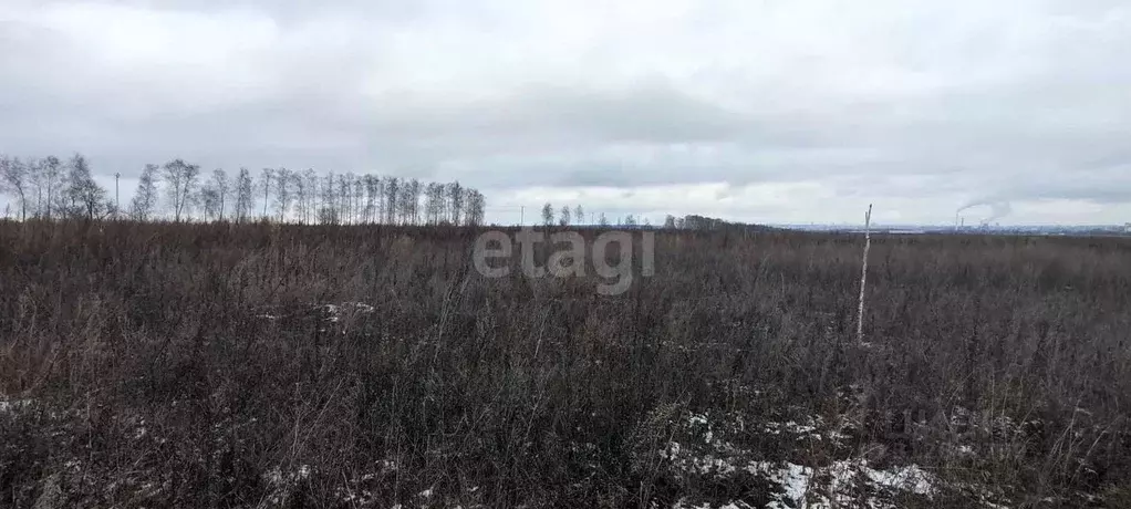 Участок в Ульяновская область, Ульяновск  (8.0 сот.) - Фото 1