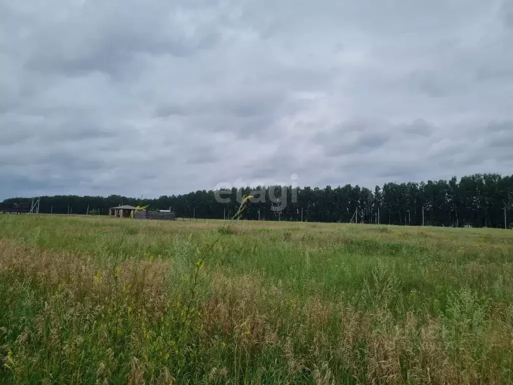 Участок в Омская область, Омский район, с. Усть-Заостровка  (11.7 ... - Фото 0