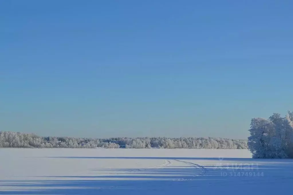Участок в Ленинградская область, Выборгский район, Полянское с/пос, ... - Фото 0