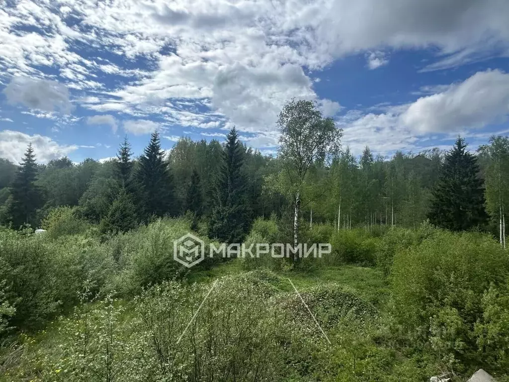 Участок в Ленинградская область, Всеволожский район, Бугровское ... - Фото 1