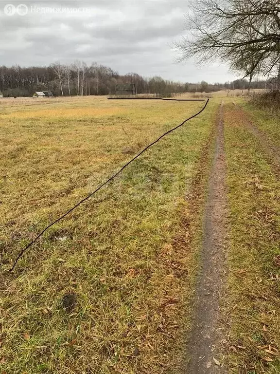 Участок в Брянская область, Жуковский муниципальный округ, деревня ... - Фото 1