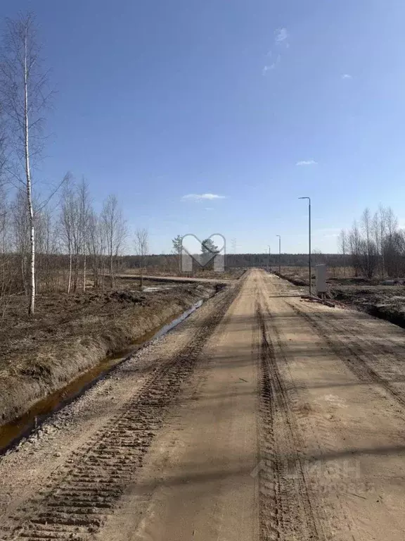 Участок в Ленинградская область, Всеволожский район, Щегловское с/пос, ... - Фото 1
