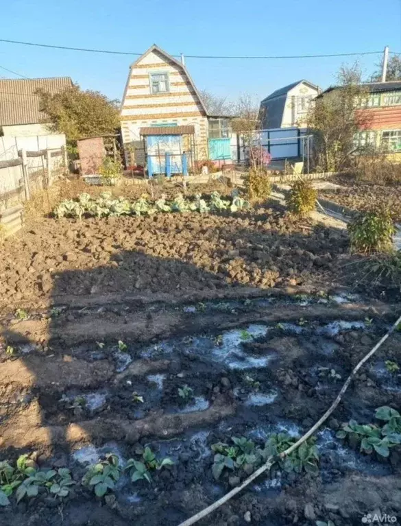 Дом в Белгородская область, Белгородский муниципальный округ, ... - Фото 2
