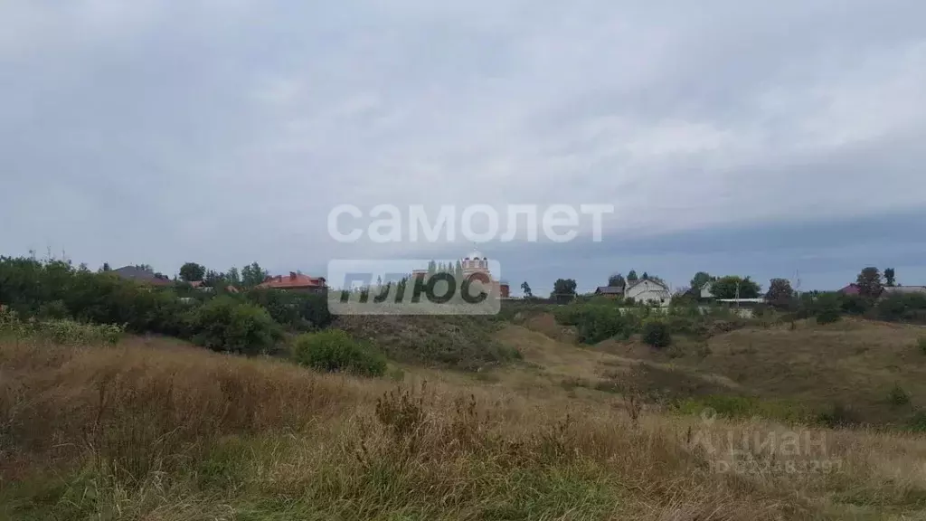 Участок в Воронежская область, Рамонский район, с. Березово ... - Фото 2