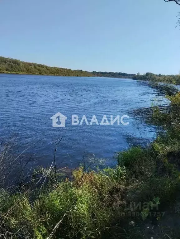 Участок в Нижегородская область, Варнавинский муниципальный округ, д. ... - Фото 1