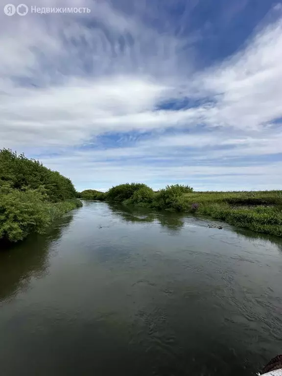 Участок в Ульяновская область, Цильнинское городское поселение, село ... - Фото 2