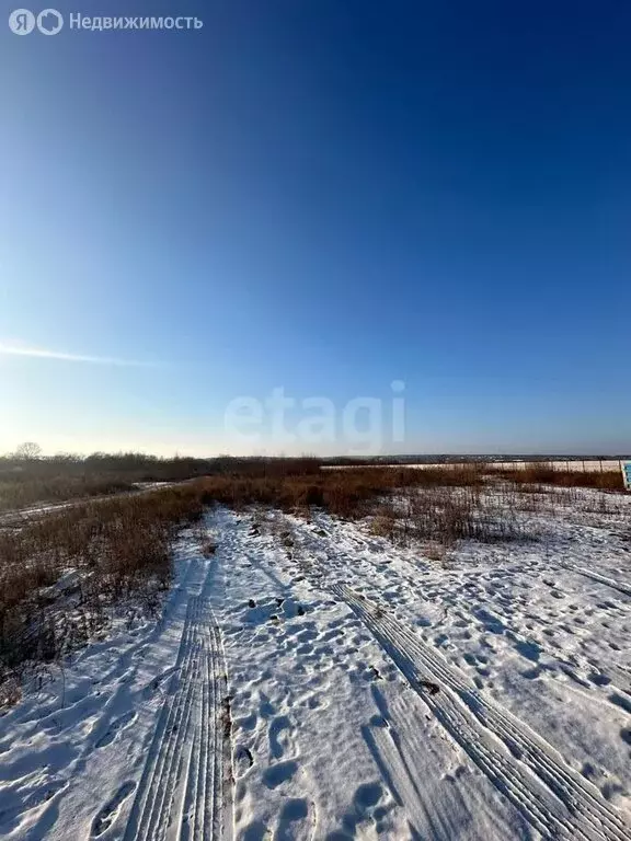 Участок в Амурская область, Благовещенский муниципальный округ, село ... - Фото 0