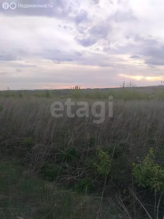 Участок в Чишминский район, Лесной сельсовет, село Алкино-2 (12 м) - Фото 2