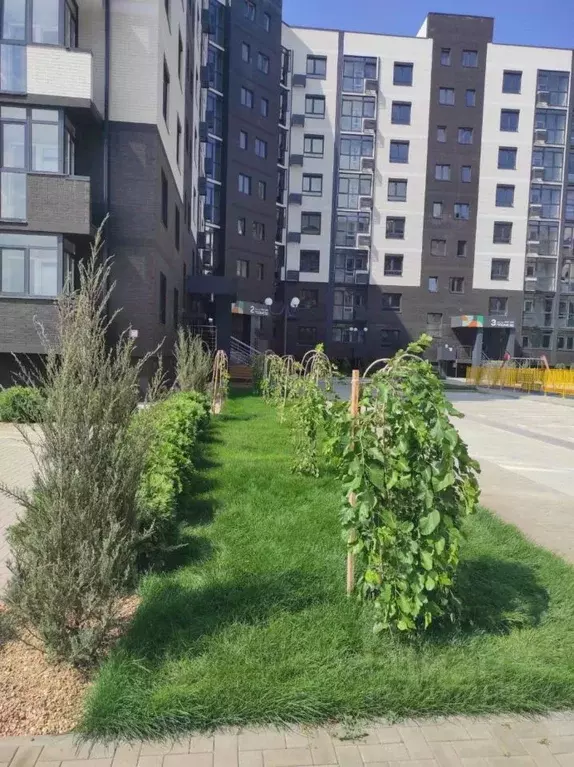 Студия Краснодарский край, Темрюк Дальняя ул., 30 (30.0 м) - Фото 1