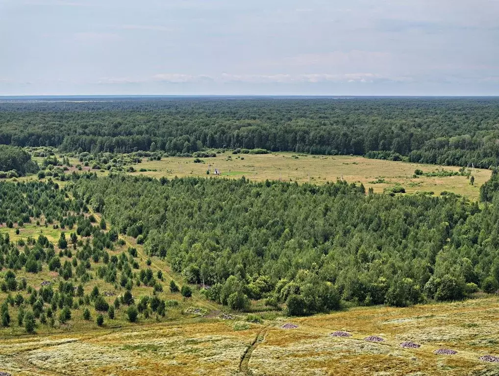 Участок в Тюменская область, Тюменский район, с. Кулаково ул. Дивная ... - Фото 1