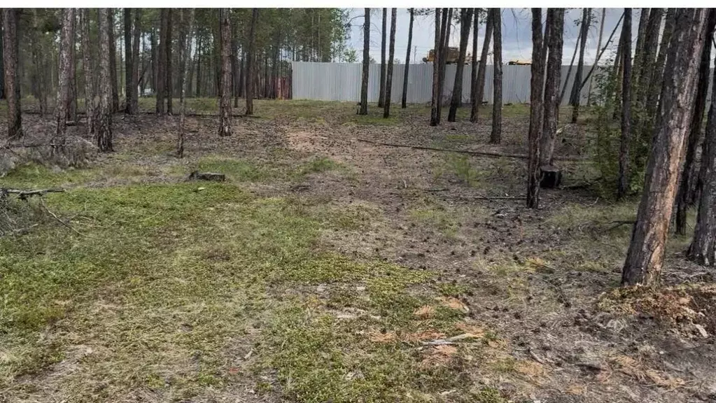 Участок в Саха (Якутия), Мегино-Кангаласский улус, Нижний Бестях пгт ... - Фото 1