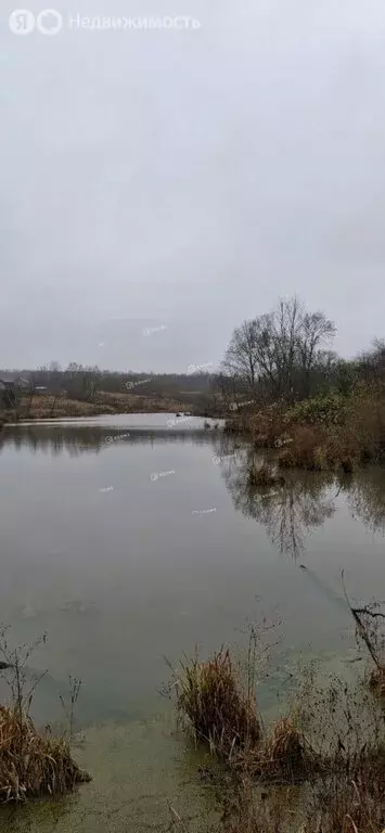 Участок в Тульская область, городской округ Тула, деревня Струково ... - Фото 1