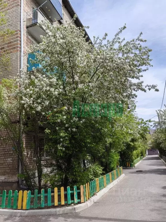 3-к кв. Забайкальский край, Чита Кайдаловская ул., 16А (56.1 м) - Фото 0