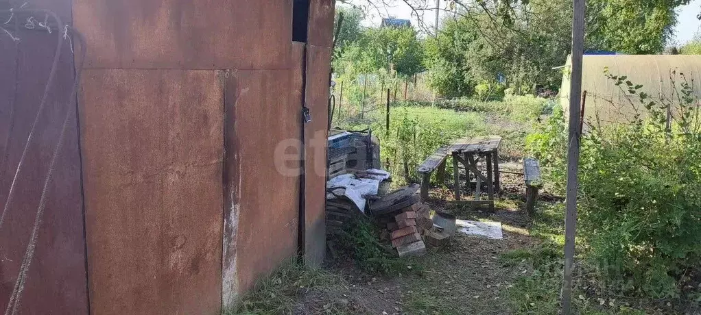 Участок в Брянская область, Брянский район, Мичуринское с/пос, ... - Фото 2